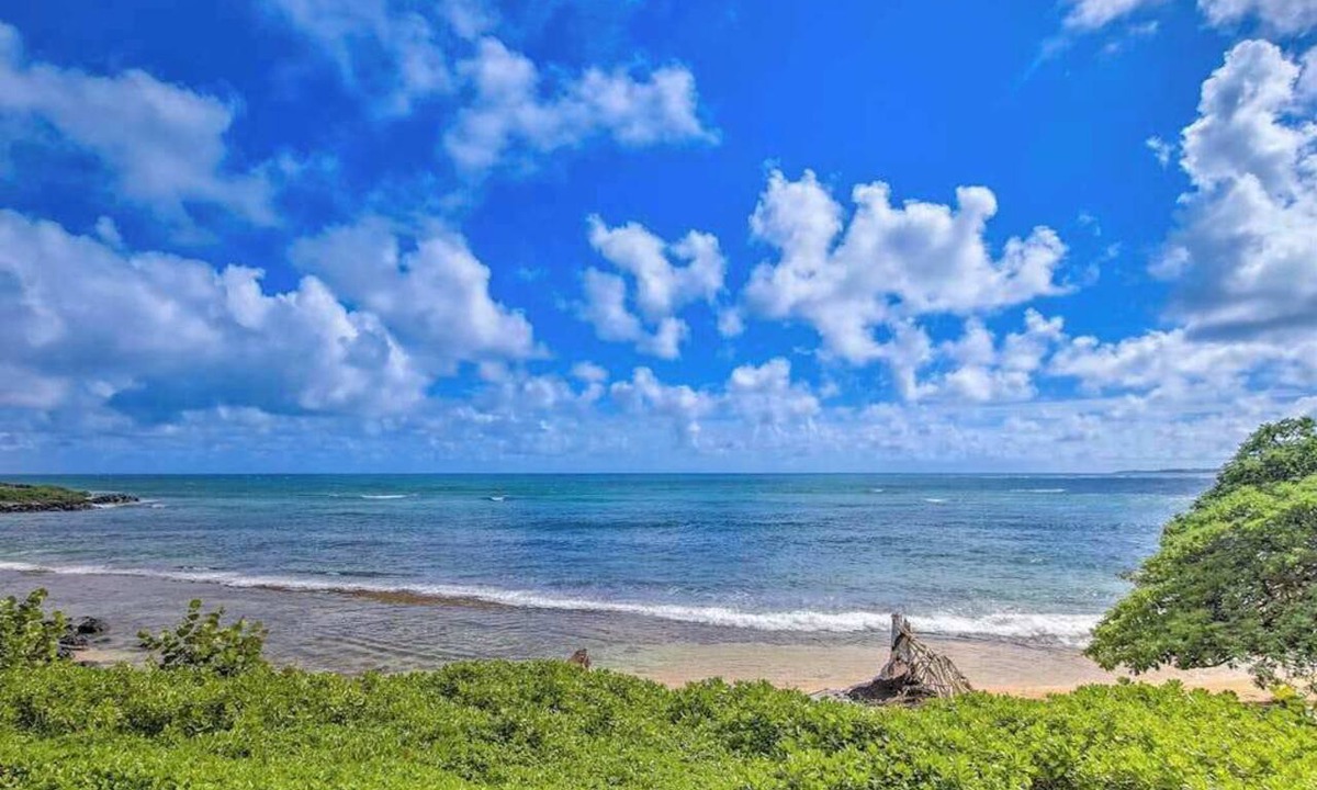 Wailua Condo | Beachfront Kapaa Studio with Lanai, Pool & BBQ to Unwind