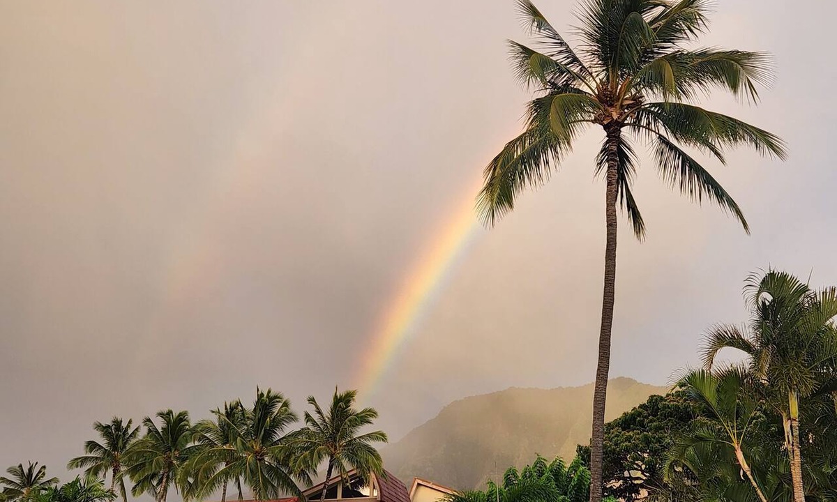 Makaha Valley Condo | Beautifully renovated condo in paradise - car included!