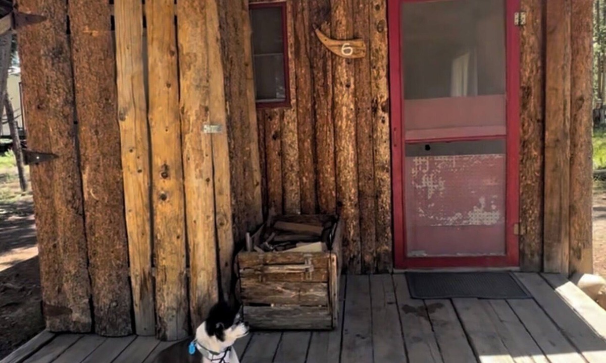 Walden Cabin | Cabin #6 Perfect 1-bedroom rustic cabin in Gould for a cozy getaway