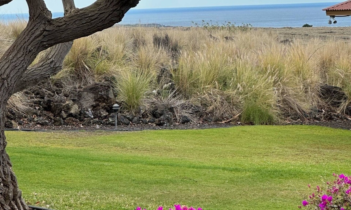 Kalaoa Condo | Cozy, clean, and comfortable condominium home in wonderful Kona!