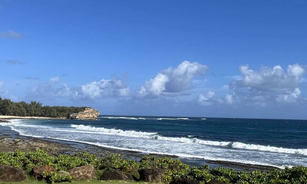 Bayview Apartment | Double Studio Suites with Private Pool and AC, walk to Beach