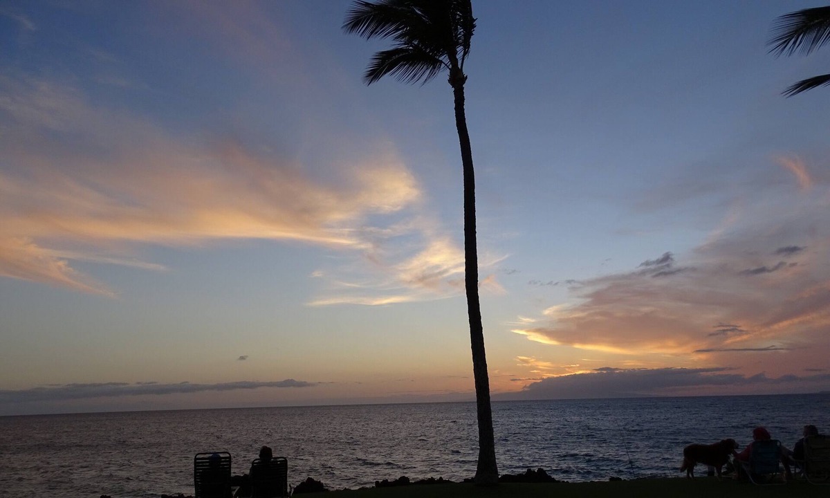 Kihei Condo | Great for families and couples. Next to a tropical pool in Hawaiian landscape.