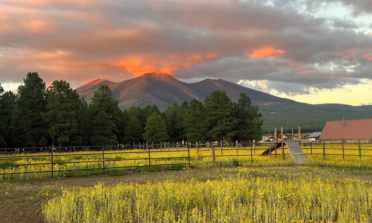 Fort Valley Apartment | Mountain Getaway: 1-bedroom apartment in Flagstaff