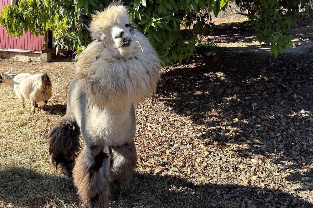 Rainbow CDP Cottage | Pet Friendly Breathtaking Cottage with Hot-tub in Rainbow, California