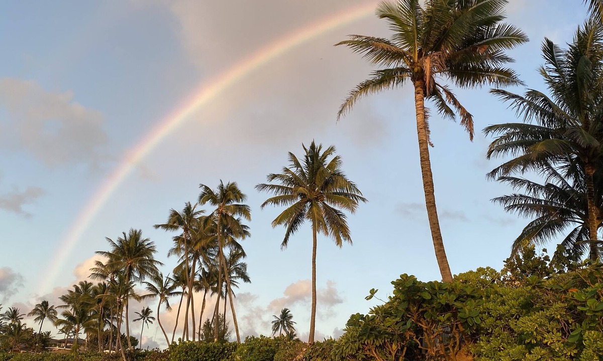 Waialee Apartment | Pristine Haleiwa North Shore Beachside Retreat-30 night minimum!