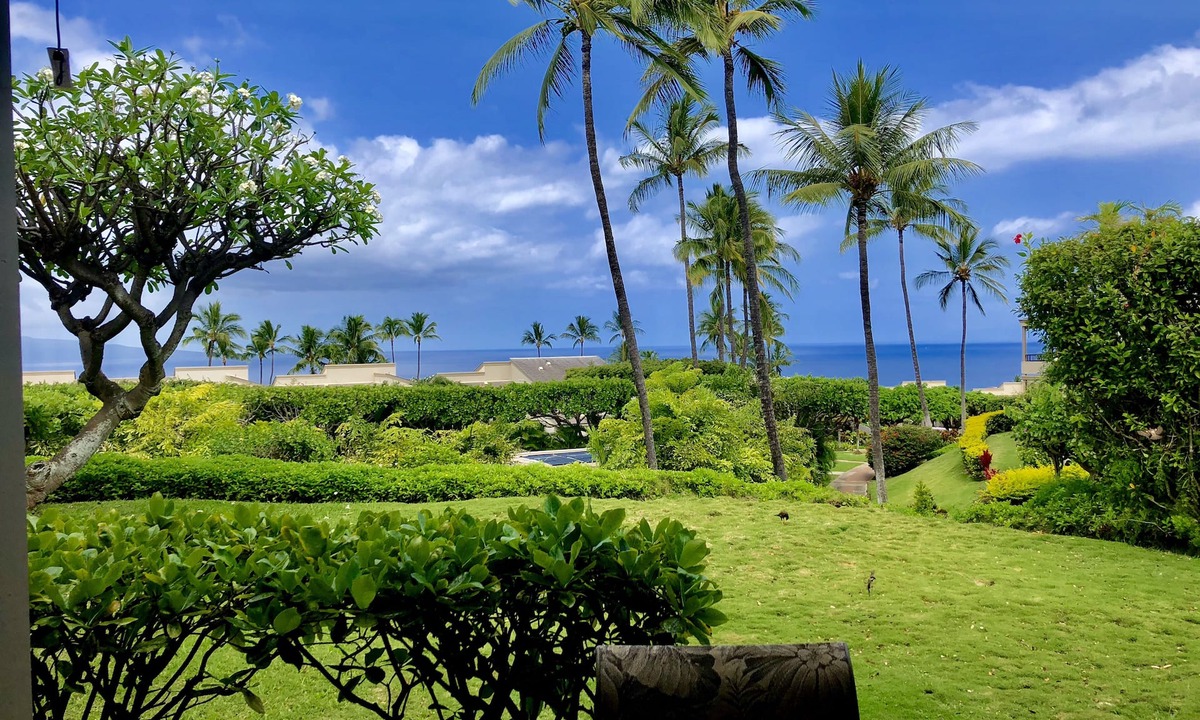 Wailea Condo | Private Ocean View - Lanai Remodeled Wailea Condo - Pools, Parking & Fast WiFi