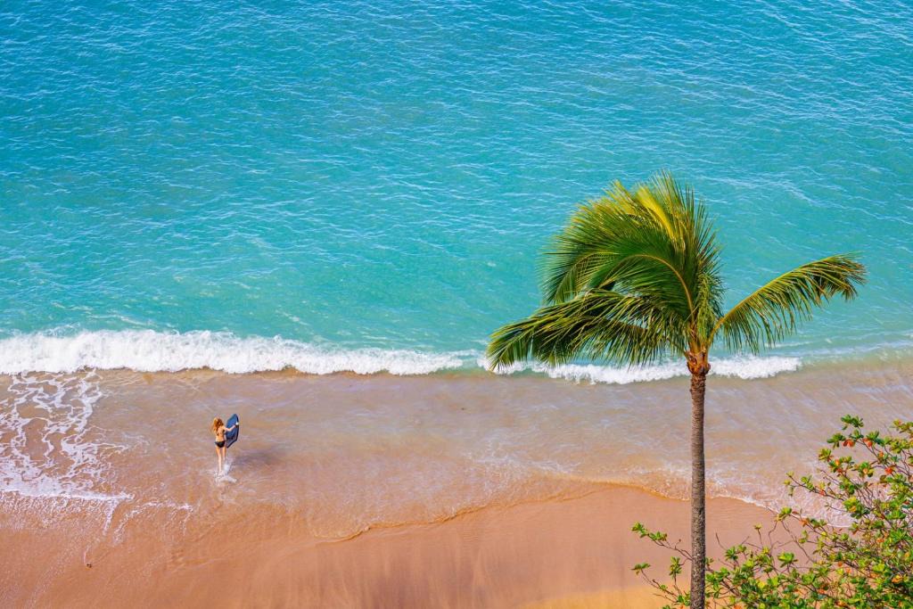Kahana Apartment | Sands of Kahana Ocean View 3 BR Sleeps 8 Great for Families Complimentary Car with 6 Nights SOK-292 by KBM