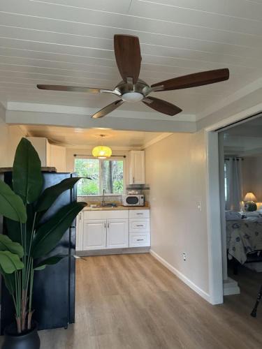 Ocean View Apartment | Starfish Remodeled Studio