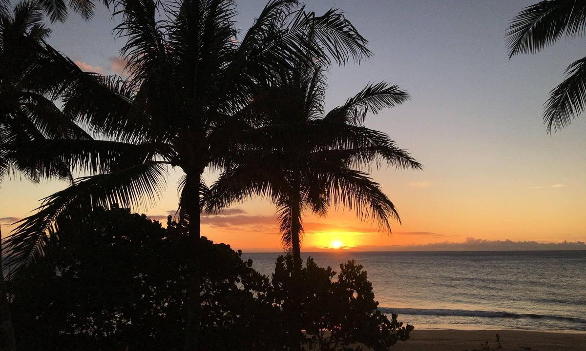 Kahuku Condo | Summer Special of Guest Fav @ TBR: Fully Renovated 1BR/1BA AC WIFI BBQ Pools Bch