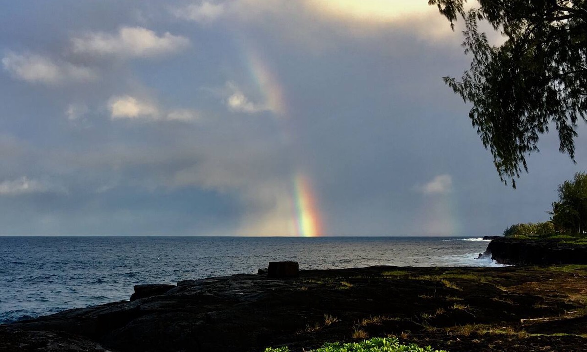 Keaau House | The Aloha Suite (Spacious one bedroom Suite)