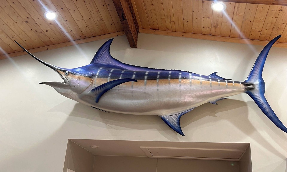 Ocean View House | The Marlin house