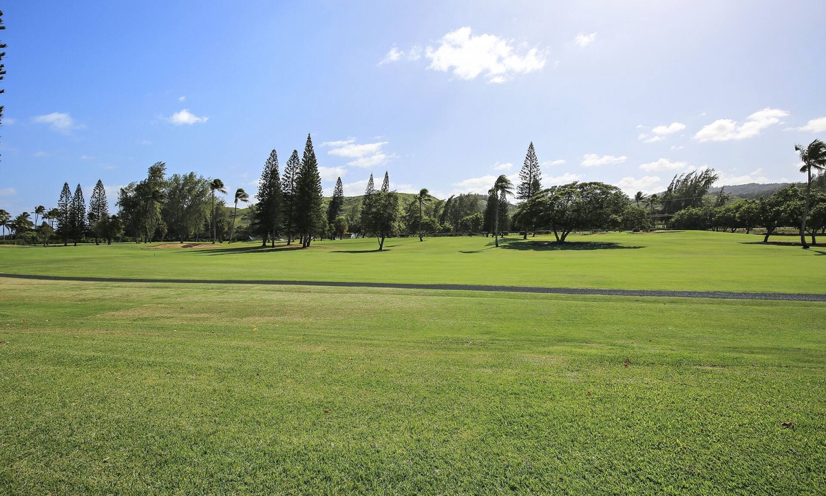 Kahuku Condo | Turtle Bay Protea by RedAwning