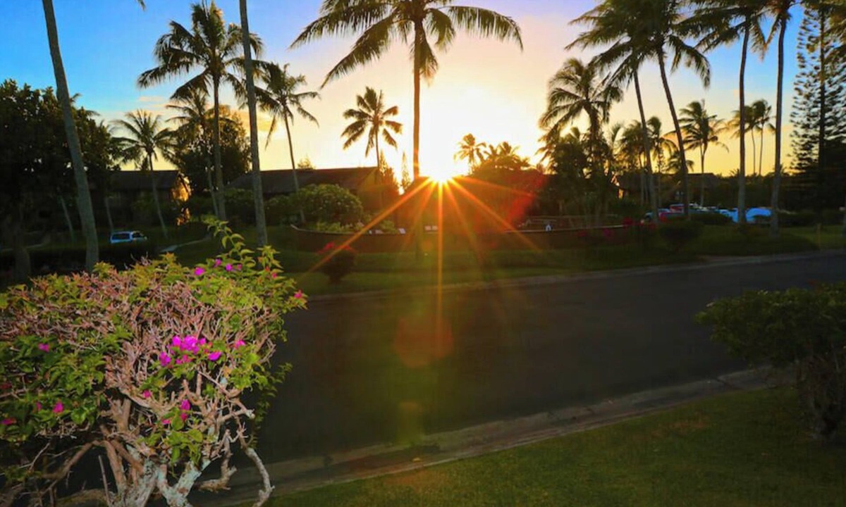 Kahuku Condo | Turtle Bay - Relax In Paradise 570010290183/CCH-0111