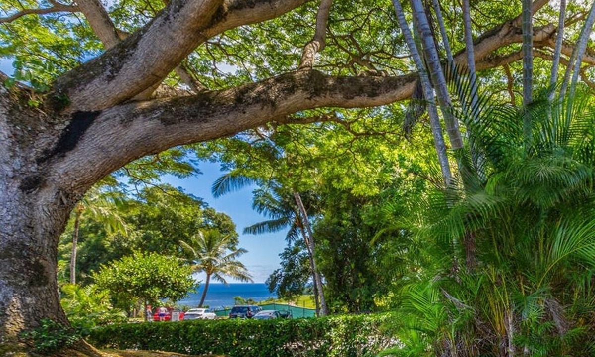 Princeville Condo | Walk to Beaches, Dining & More in Princeville,Charming Cottage-Like Townhouse