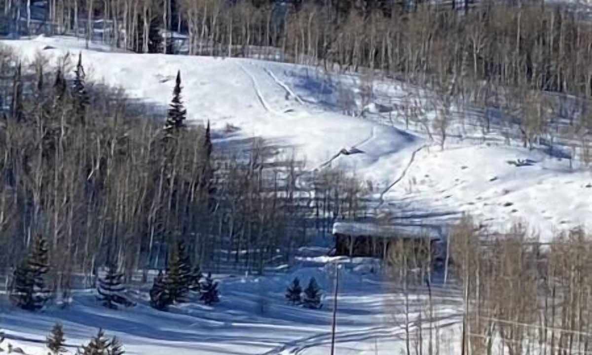 Walden House | Whistle Pig Retreat@22 West Cabins 18 miles from Walden, 80 miles from Steamboat