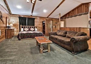 Secluded Cabin with fireplace near Beaver lake