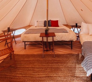 Tent Shared Find The Juniper Trees Sky 