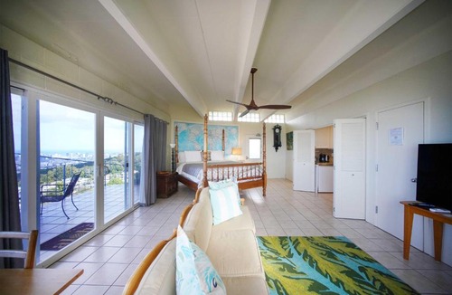 Diamond Head - Kapahulu - St. Louis Apartment | 4 Mi to Beaches: Honolulu Hideaway w/Views!