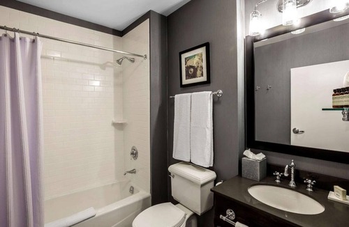 Everett Hotel | 4 Pet-Friendly Accommodations for Family or Friends | Free On-site Parking