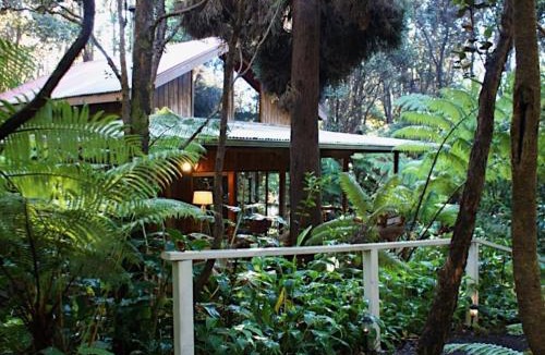 Volcano House | Beautiful Cedar Cottage in Volcano