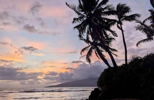 Kihei Condo | Charming Studio condo in peaceful Kihei with AC, WiFi, poolnPrice includes taxes