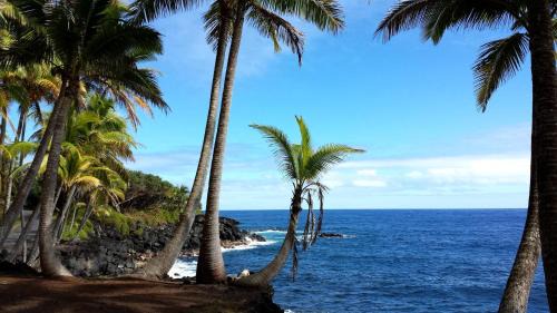 Royal Hawaiian Estates House | Fern Forest Hale