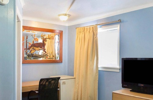 Wilkes-Barre Apartment | Full Bed|Wilkes-Barre PA
