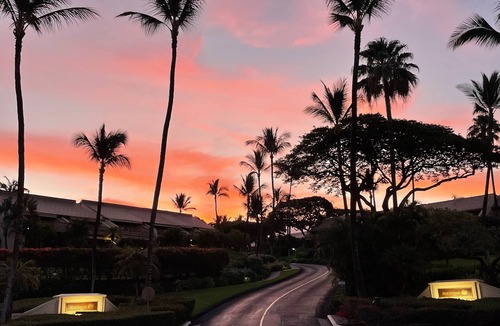 Kihei Condo | Great for families and couples. Next to a tropical pool in Hawaiian landscape.