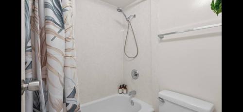 Waikiki Apartment | Island Ohana Hale