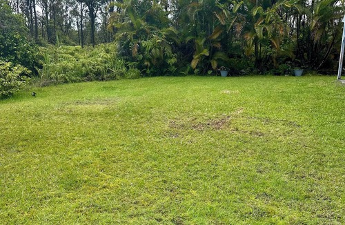 Fern Acres Apartment | Large downstairs apartment in temperate forest