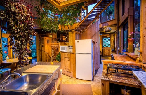 Royal Hawaiian Estates House | Live among the trees In this real-life treehouse!