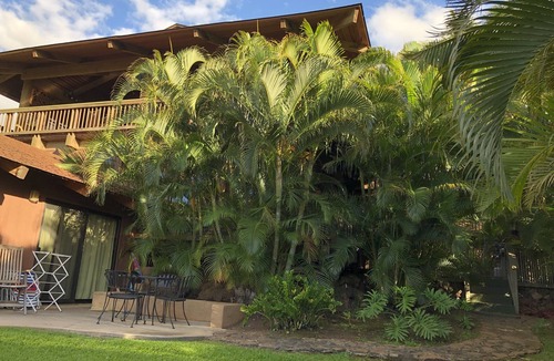 Kihei Bed & Breakfast | Make Maui Your Home for Months! 1 bedroom 1 bath cottage 1/2 mile walk the beach