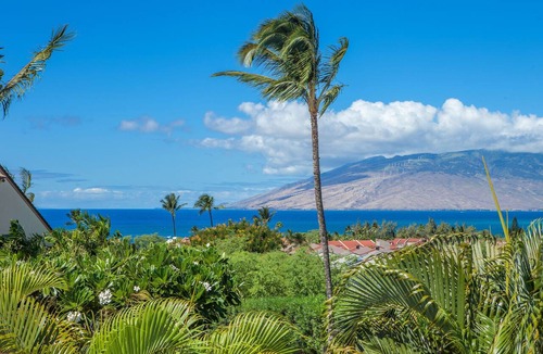 Kihei Condo | Maui Kamaole #L-202 Full Ocean View, Full A/C, Great Location, Great Rates