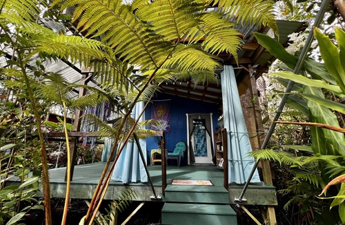 Eden Roc Cabin | Mermaid Lair with Rainforest Shower!