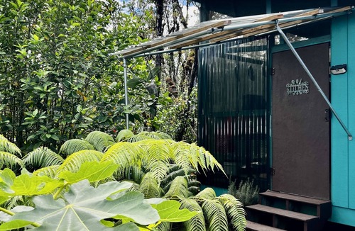 Eden Roc Cabin | Mermaid Lair with Rainforest Shower!