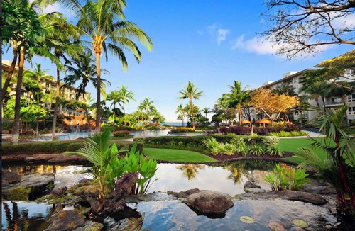 Kaanapali Resort | OCEAN FRONT LUXURY-SOUTH-STUDIO-FULL RESORT ACCESS-SLEEPS 4-ONLY 3-14-3-21-26