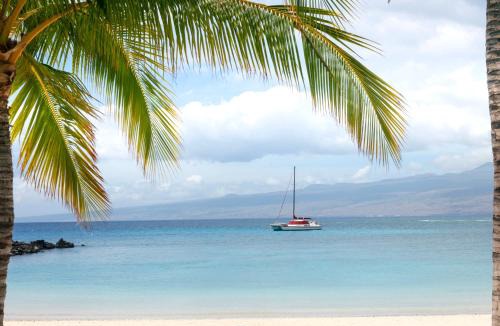 Kamuela House | ❤PiH❤PARADISE AWAITS Guest Cottage Private Pool Spa