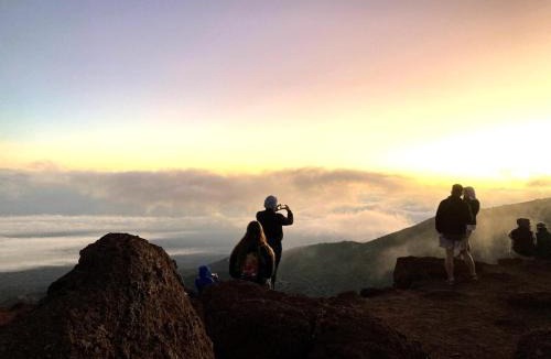 Royal Hawaiian Estates Apartment | Private Volcano Getaway - Near Kilauea & Trails