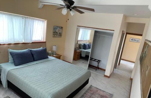 Kealakekua House | Silver Dollar Tree