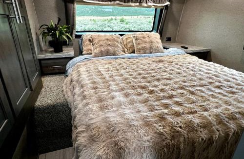Questa House | Spacious Camper on a Llama Rescue Ranch with Stunning Views near Questa, New Mexico