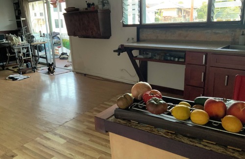 Diamond Head - Kapahulu - St. Louis Apartment | Studio Apartment within walking distance to Waikiki
