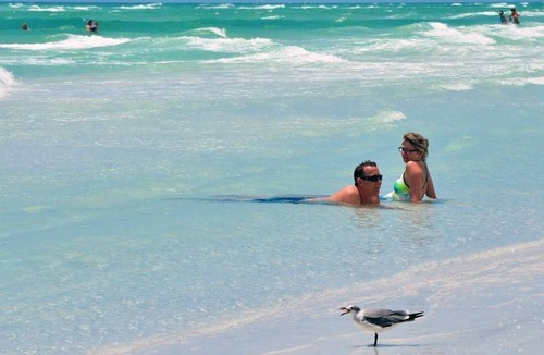 Palma Sola Cottage | Studio Stand Alone with Shared Pool and FREE WiFi Close to Anna Maria Island