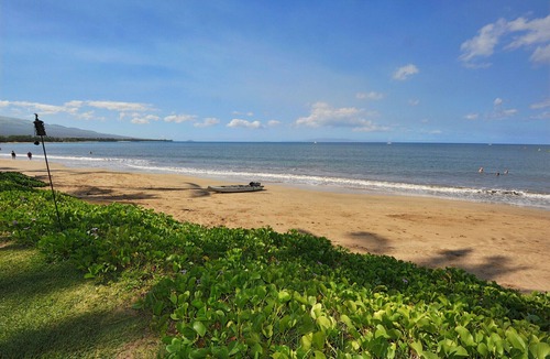 Kihei Condo | Tropical Garden View at a Beach Front Property-Kihei Kai Unit 17