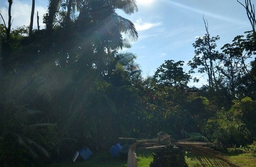 Leilani Estates House | Tropical & modern forest paradise, Exceptional 10/10, all 5 star, guest favorite