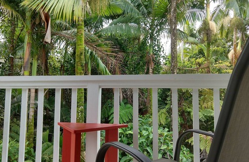 Leilani Estates House | Tropical & modern forest paradise, Exceptional 10/10, all 5 star, guest favorite