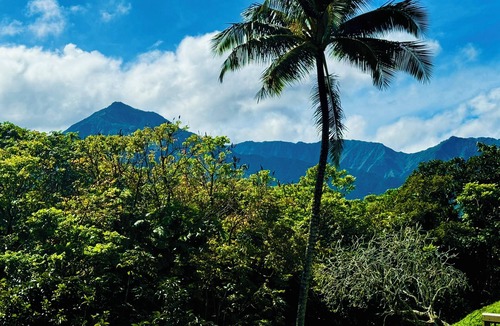 Princeville Condo | Tropical Paradise #13 at HBR, beach access, AC & kitchenette