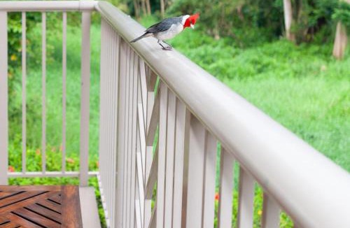 Princeville House | Villas of Kamalii 37
