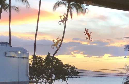 Kihei Condo | Your Oceanview Corner of Paradise: The perfect condo in the heart of Kihei.