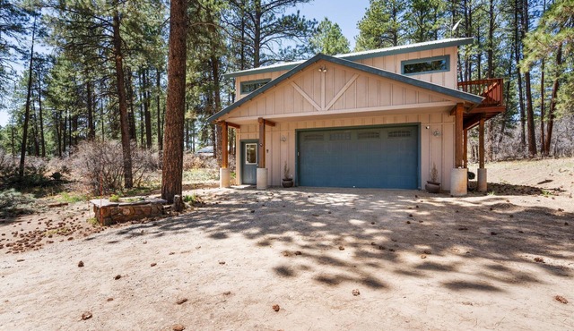 10 Minutes To Downtown, Pet Friendly, Cozy Studio!