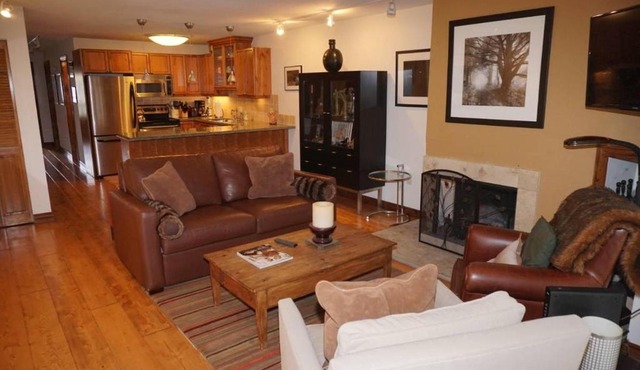 100 Dean St E #2B in Aspen